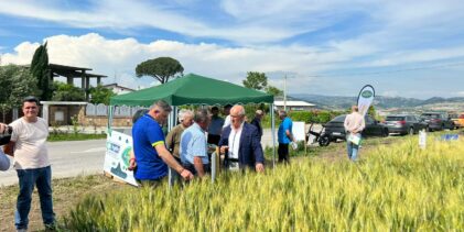 Circa 500 imprese cerealicole in campo a Benevento per la ricerca di varietà resistenti ai cambiamenti climatici