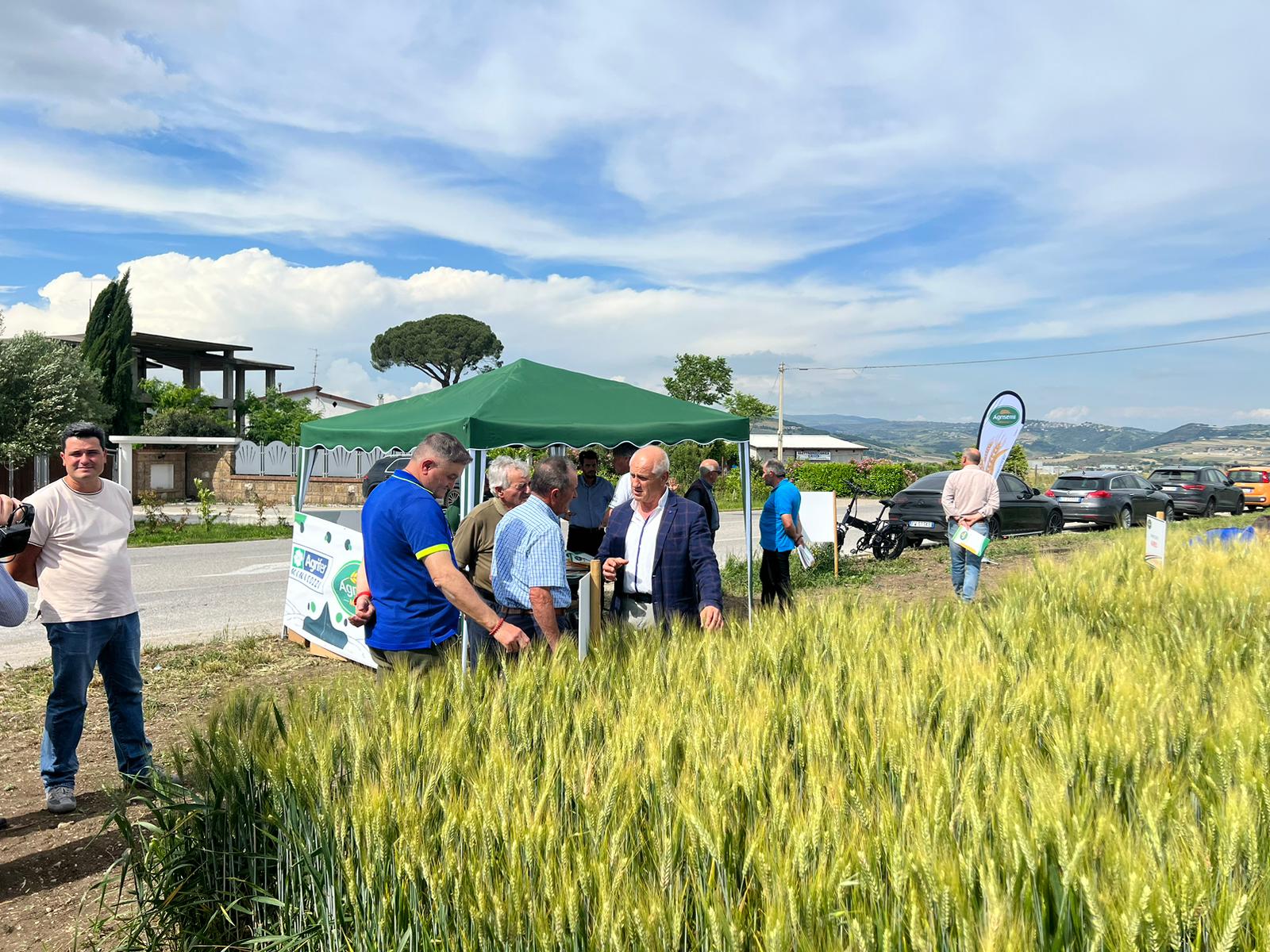 Circa 500 imprese cerealicole in campo a Benevento per la ricerca di varietà resistenti ai cambiamenti climatici
