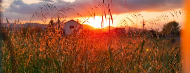 “Festa di mezz’estate, il giorno dell’Iperico, tra fuochi sacri, rituali ed erbe magiche”