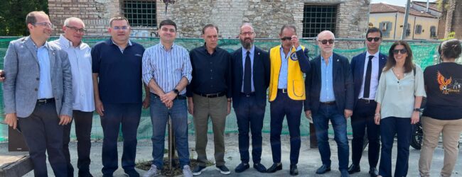 Benevento, piantumati nuovi alberi in Piazza Teatro Romano, l’iniziativa targata Lions Club