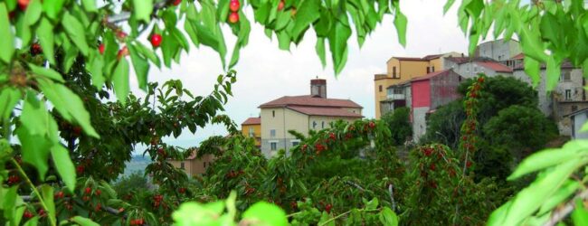 A Campoli Monte Taburno la Festa della Ciliegia