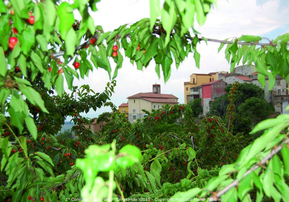 A Campoli Monte Taburno la Festa della Ciliegia