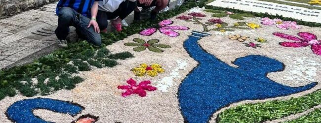 Infiorata, il Forum dei Giovani ha presentato un quadro floreale a tema Olimpiadi dei Forum 2023