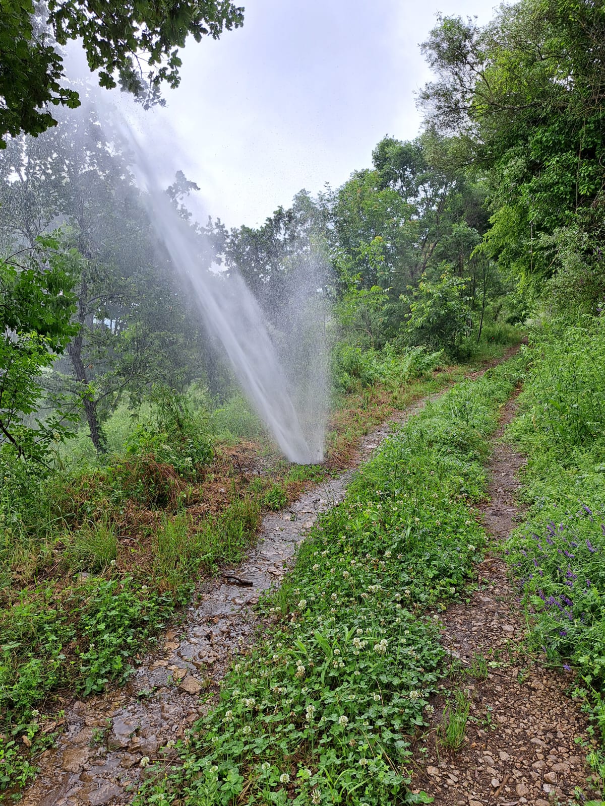 Gesesa, Valle Vitulanese: nel primo pomeriggio irregolarità nel servizio idrico a causa di un guasto improvviso