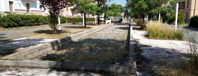 Verde pubblico a Benevento, inizia la pulitura a San Modesto