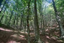 Ritrovati in buone condizioni i due uomini dispersi sul Partenio