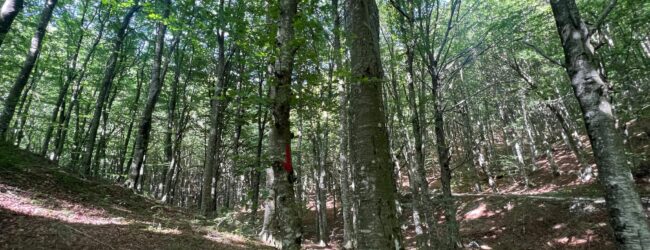 Ritrovati in buone condizioni i due uomini dispersi sul Partenio