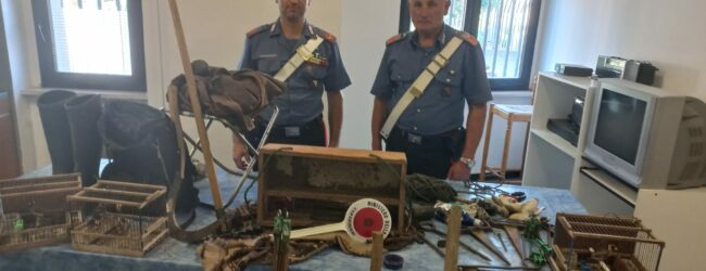 Amorosi, i Carabinieri denunciano un uomo dedito alla pratica dell’uccellagione