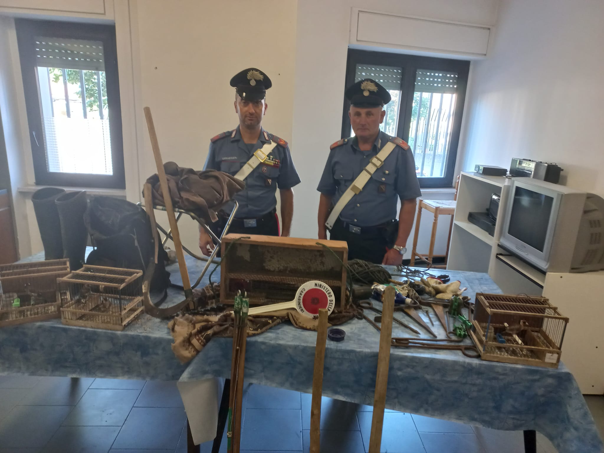 Amorosi, i Carabinieri denunciano un uomo dedito alla pratica dell’uccellagione