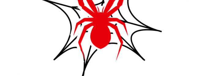 Benevento, le sedici richieste della Rete Ambientalisti e Animalisti al Comune