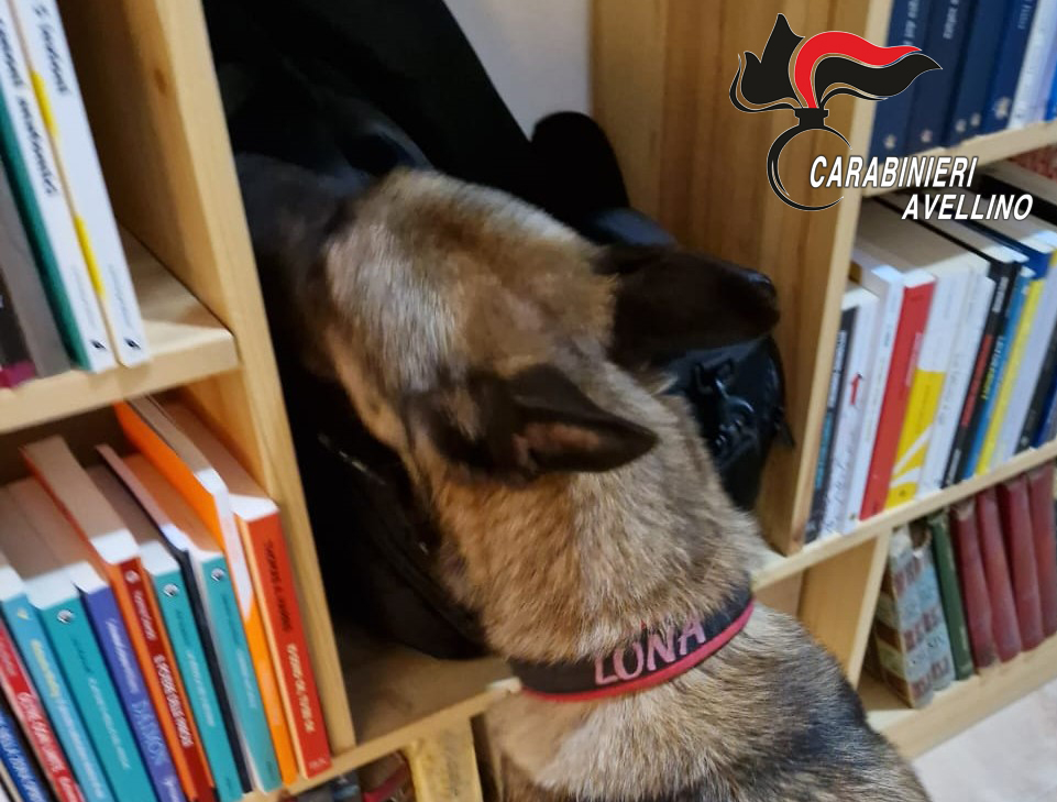Luogosano, sorpresi in possesso di cocaina: coppia di coniugi arrestata dai carabinieri