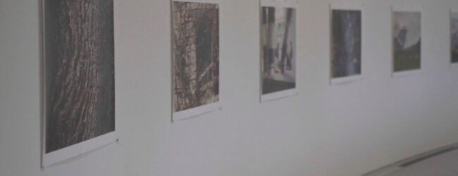 L’Irpinia e il Sannio in mostra in Giappone con “Energies in the Rural”