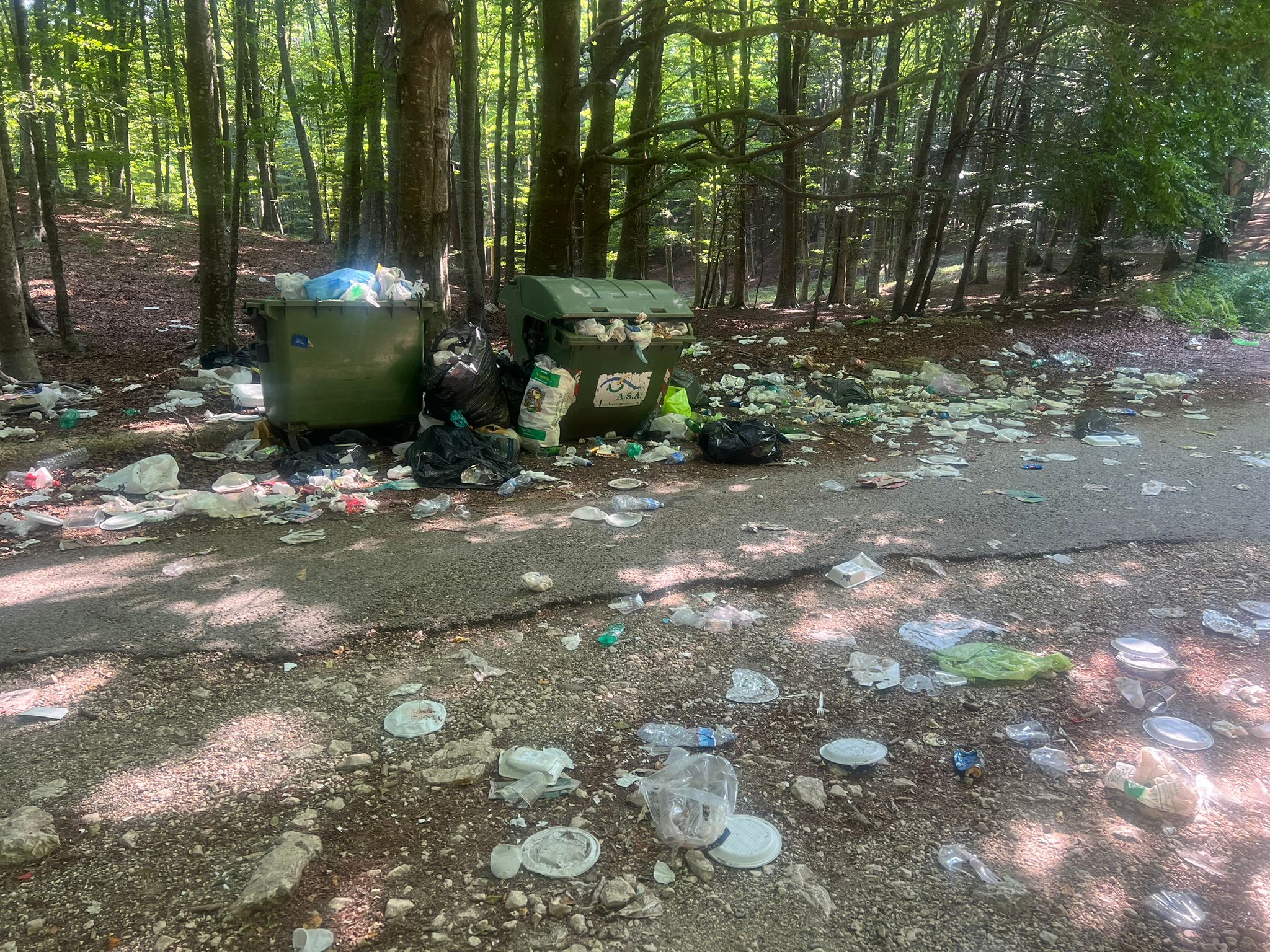 Monti del Partenio, la bellezza della montagna mortificata dai rifiuti