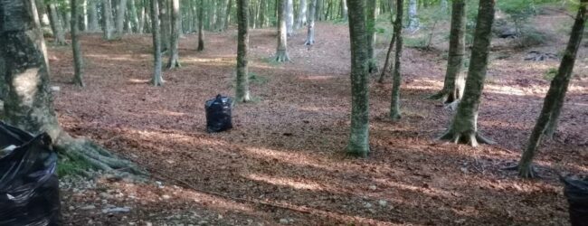 “Acqua delle Vene” il comune di Pietrastornina ripulisce l’area dai rifiuti