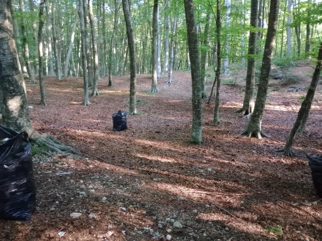 “Acqua delle Vene” il comune di Pietrastornina ripulisce l’area dai rifiuti