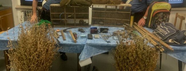 Amorosi,bracconieri in trasferta per catturare cardellini: denunciati due uomini