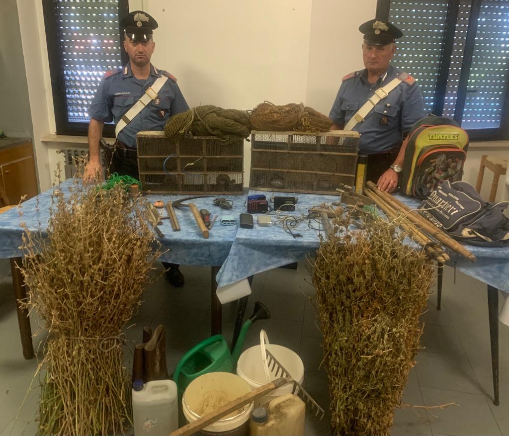 Amorosi,bracconieri in trasferta per catturare cardellini: denunciati due uomini