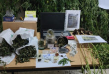 Ospedaletto d’Alpinolo| Carabinieri scoprono piantagione di marijuana: arrestato un 61enne