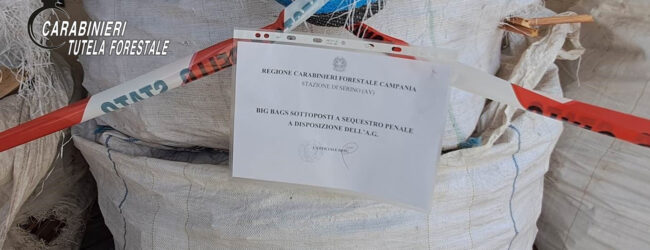 Forno alimentato con scarti di legno, attività sospesa e sequestri