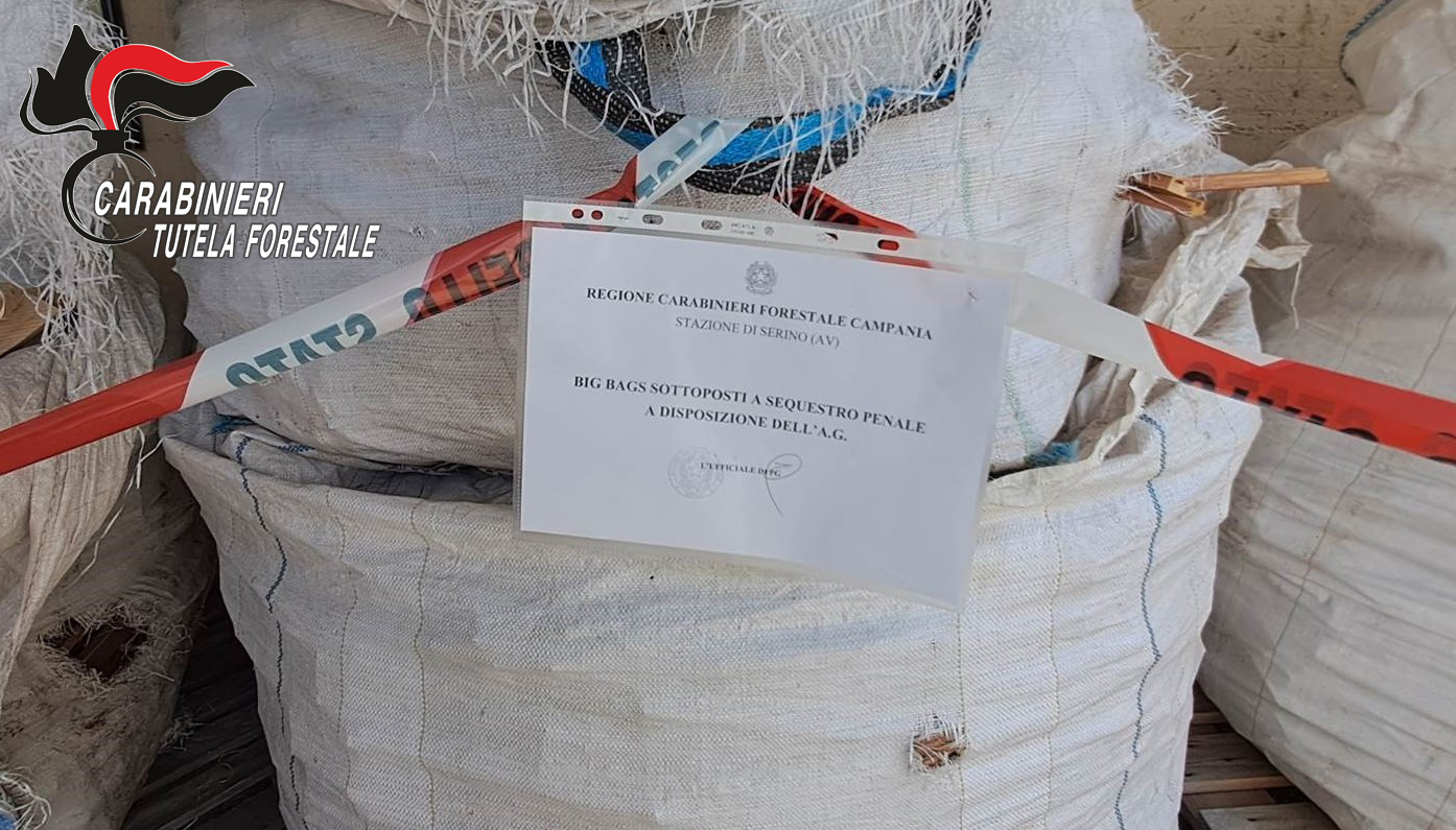 Forno alimentato con scarti di legno, attività sospesa e sequestri