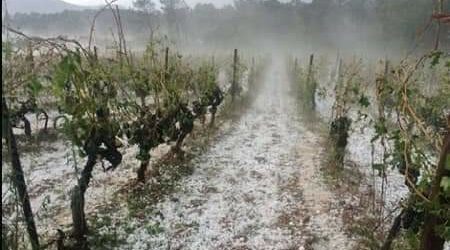 Maltempo, bomba d’acqua nel Sannio. La Cia: danni alle nostre aziende. Rubano: “Mi farò portavoce delle istanze del territorio”