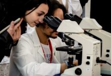 Unisannio, venerdi la Notte dei Ricercatori