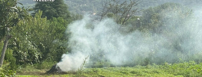 Abbruciamenti di residui vegetali: i Carabinieri denunciano due persone