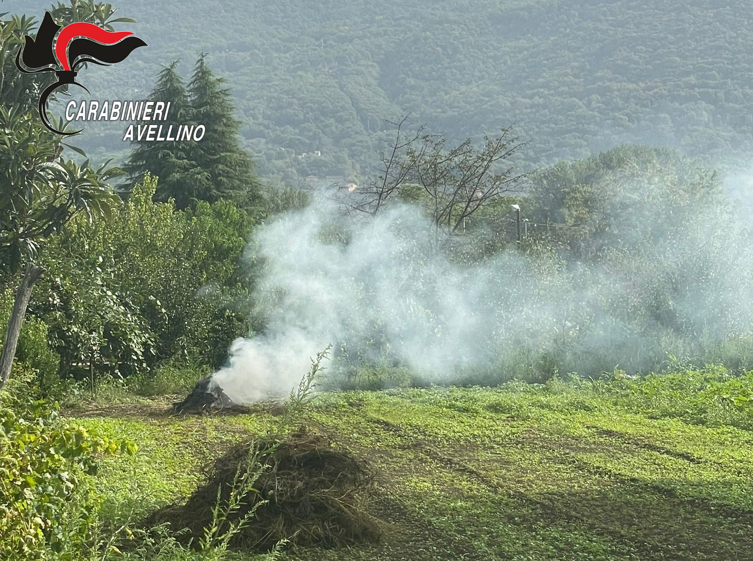 Abbruciamenti di residui vegetali: i Carabinieri denunciano due persone