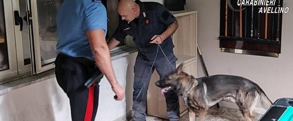 Montemiletto| Il fiuto di Neo scova 35 grammi di droga in una sala giochi