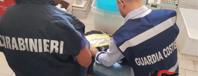Prodotti ittici avariati in una pescheria di Foglianise, titolare denunciato