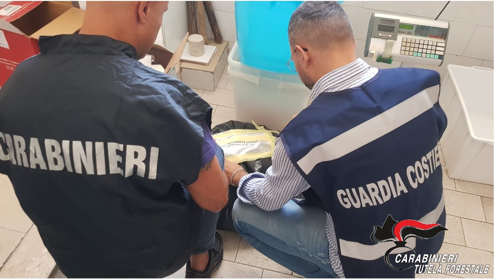 Prodotti ittici avariati in una pescheria di Foglianise, titolare denunciato