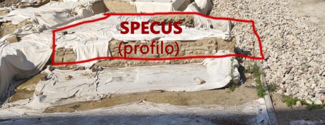 Infopoint Piazza Pacca, Altrabenevento: illegittimi il si del Soprintendente e la variante Iadicicco