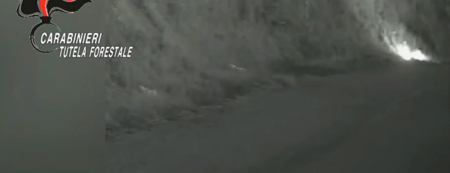 Incendiava boschi in Valle Telesina, arrestato uomo di Vitulano
