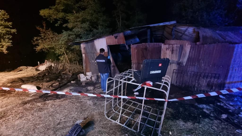 Montefalcione| In fiamme capannone agricolo, indagini in corso dei carabinieri