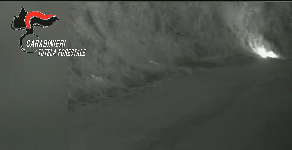 Incendiava boschi in Valle Telesina, arrestato uomo di Vitulano