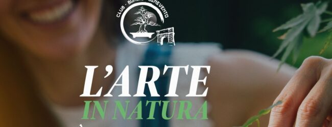 Benevento| Arte in natura” su Bonsai e Suiseki. Una mostra organizzata dall’Associazione Club Bonsai