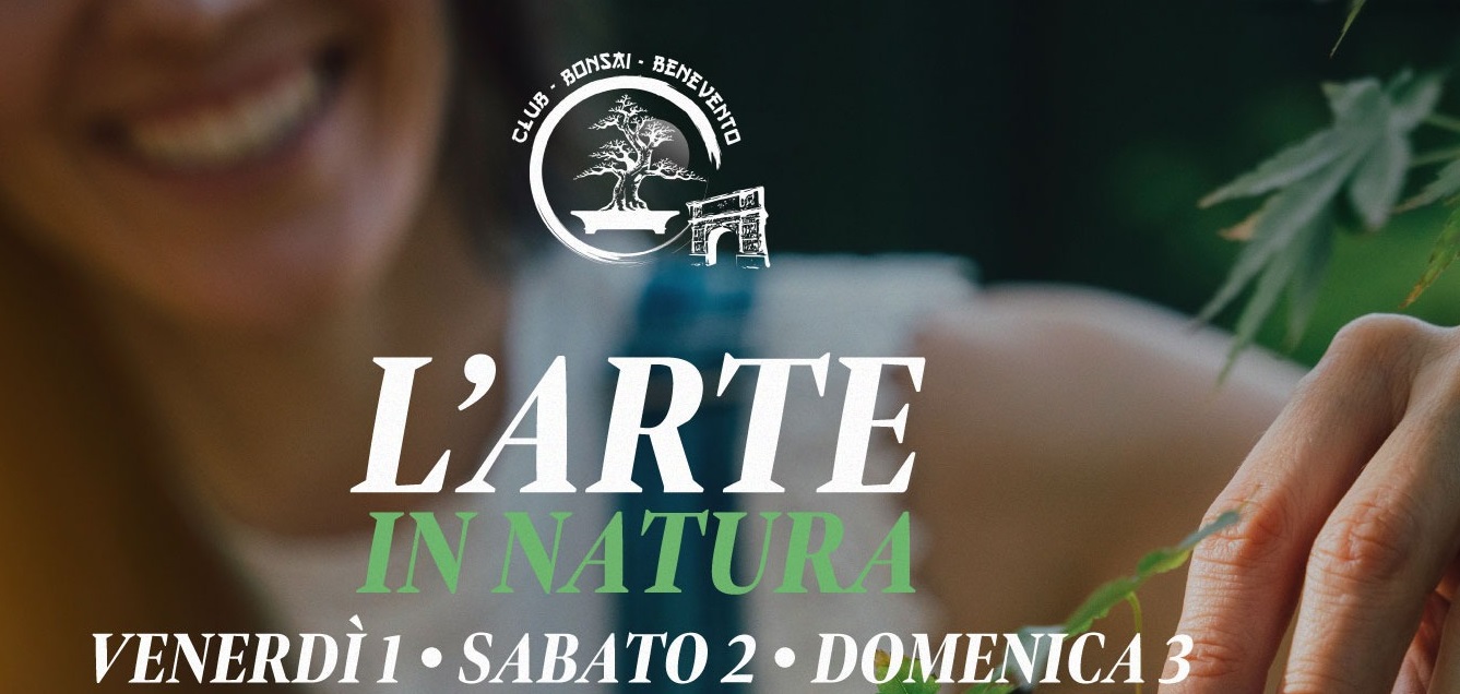 Benevento| Arte in natura” su Bonsai e Suiseki. Una mostra organizzata dall’Associazione Club Bonsai