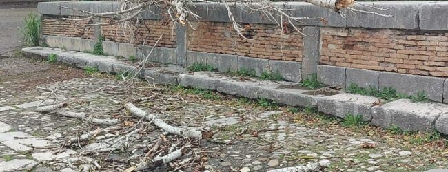 Benevento, alberi caduti per il maltempo