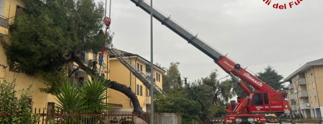 Maltempo, in Irpinia 75 interventi dei Vigili del Fuoco. A Benevento disagi in contrada Madonna della Salute