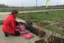 “Forestiamo insieme l’Italia” 2 mila alberi per il Parco De Mita a Benevento