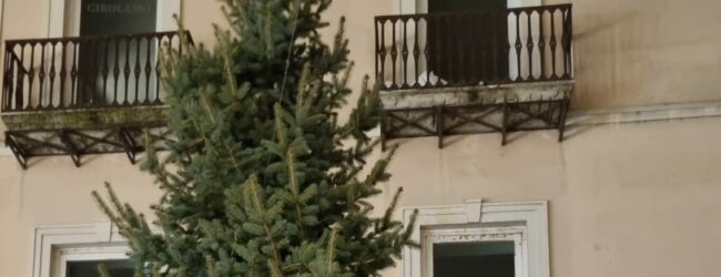 Comunita’ Montana del Fortore dona albero di Natale alla Croce Rossa Italiana