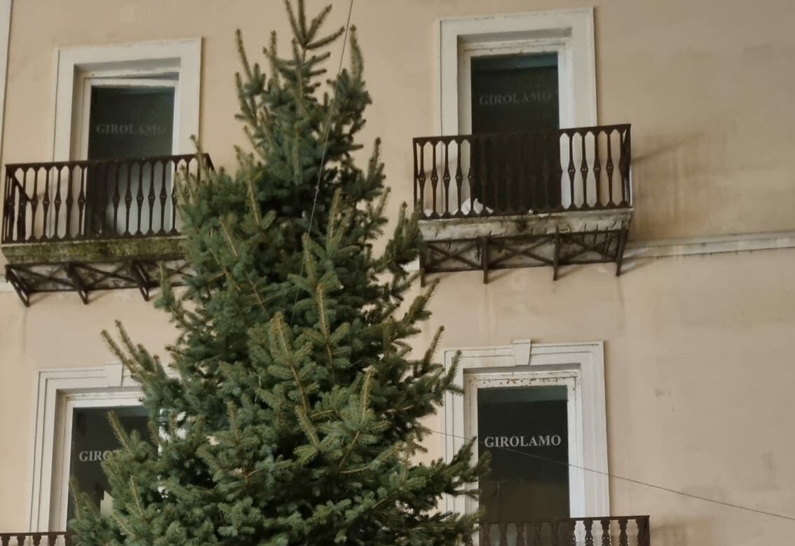 Comunita’ Montana del Fortore dona albero di Natale alla Croce Rossa Italiana