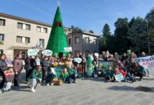 Domani l’ultimo tour del Pino Irpino, poi l’accensione dell’albero in Biblioteca
