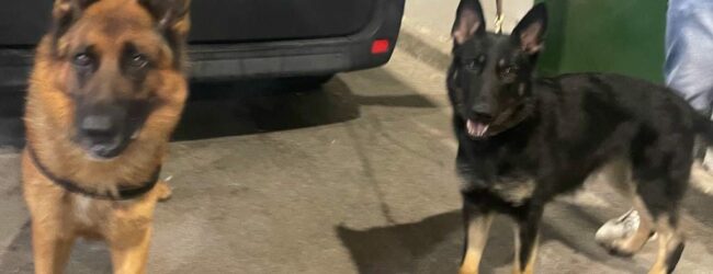 Operazione Antidroga Cinofili Polizia Penitenziaria Benevento e Avellino