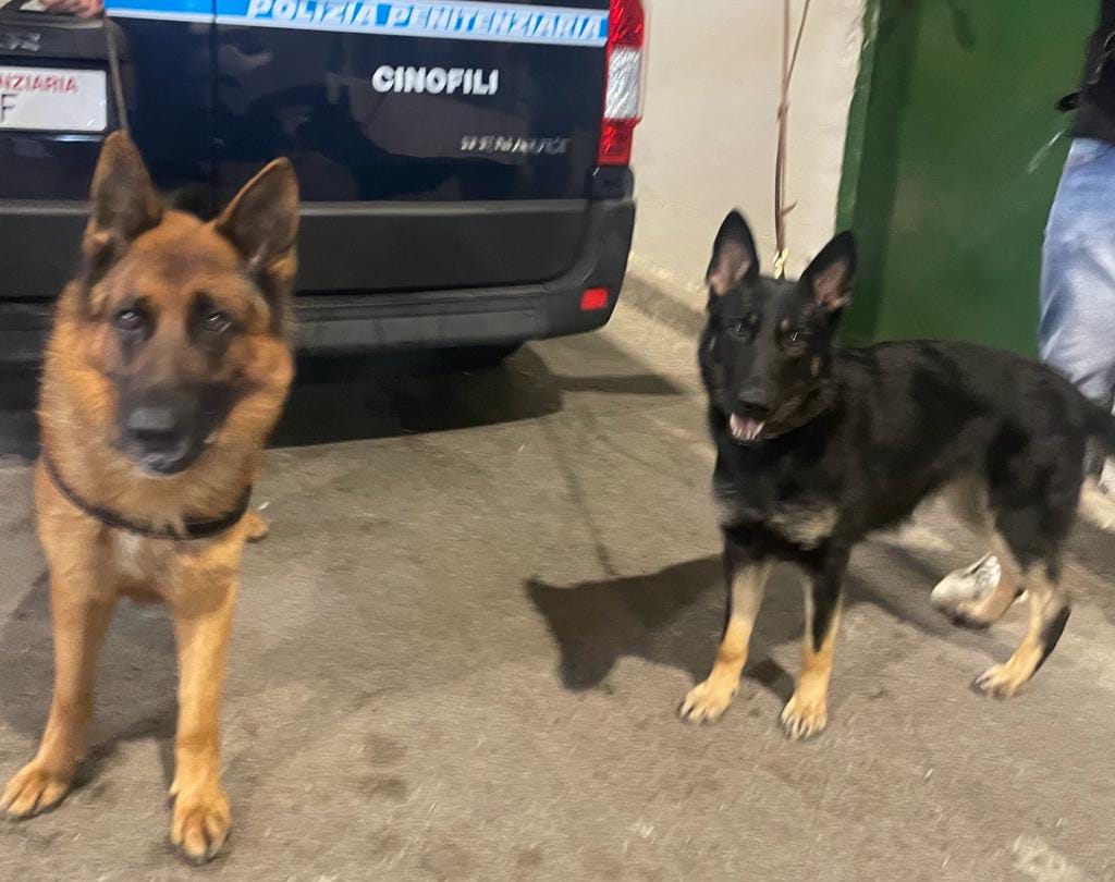 Operazione Antidroga Cinofili Polizia Penitenziaria Benevento e Avellino
