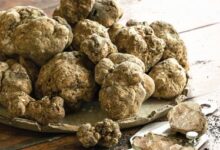 Ceppaloni, tutto pronto per “Tartufo al Borgo”: riflettori su territorio e aree interne