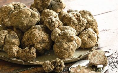 Ceppaloni, tutto pronto per “Tartufo al Borgo”: riflettori su territorio e aree interne