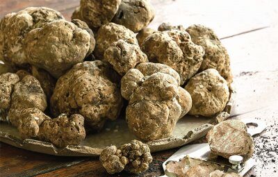 Ceppaloni, tutto pronto per “Tartufo al Borgo”: riflettori su territorio e aree interne