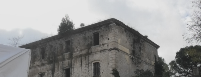 Ex Guidoni: l’albero e il contenzioso con lo Stato. Parla Lombardi