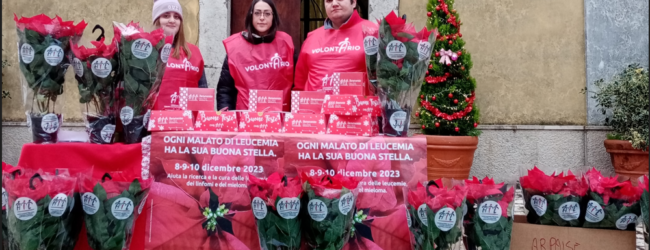 È scesa in piazza la Pro Loco Generoso Papa di Arpaise per aderire alla manifestazione solidale dell’Ail Benevento Stelle di Natale 2023